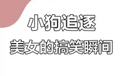 异界龙魂无弹窗